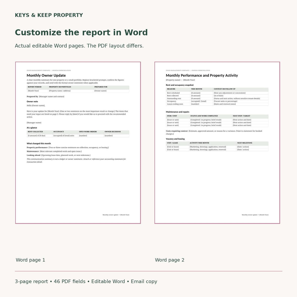 Property Management Owner Report Template | Monthly Rental Update, Word & Fillable PDF