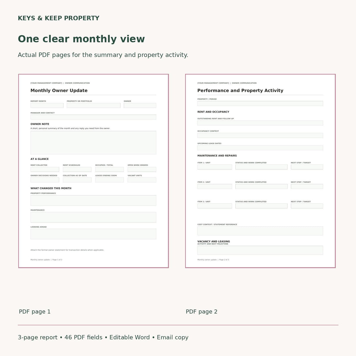 Property Management Owner Report Template | Monthly Rental Update, Word & Fillable PDF